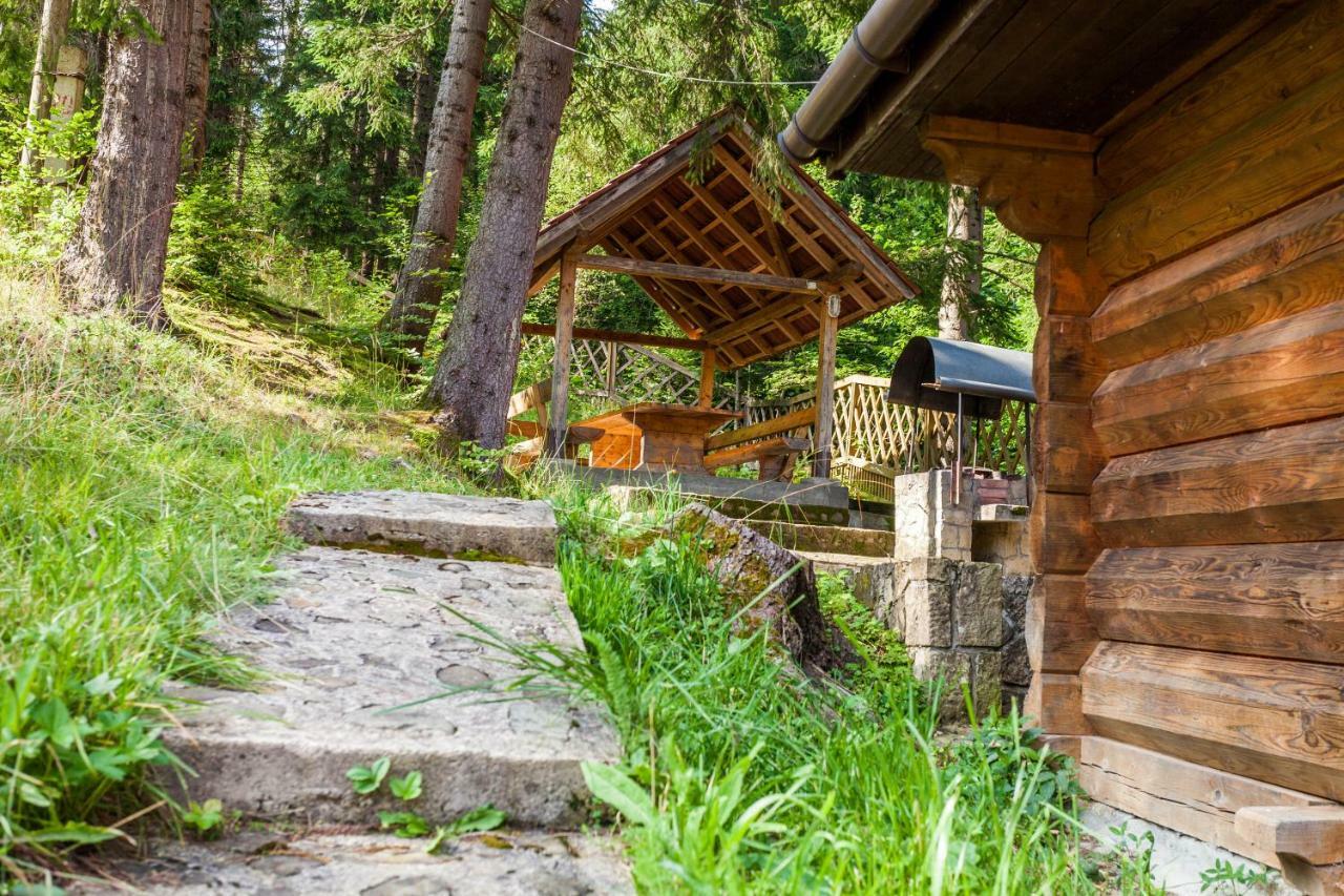 Альпина Hotel Jaremcse Kültér fotó