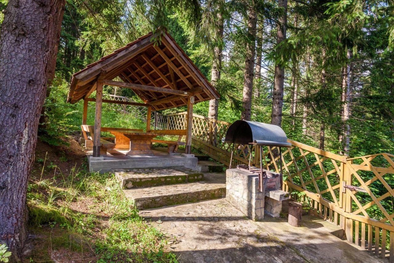 Альпина Hotel Jaremcse Kültér fotó