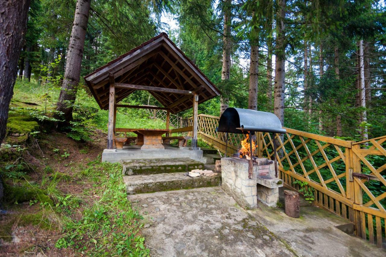 Альпина Hotel Jaremcse Kültér fotó