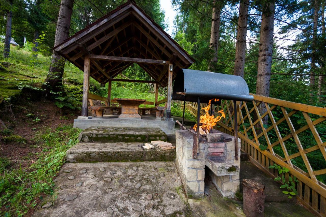 Альпина Hotel Jaremcse Kültér fotó