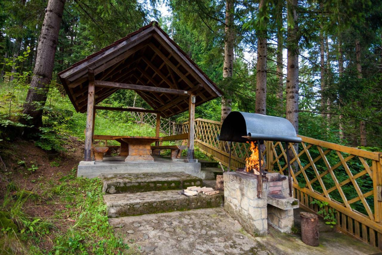 Альпина Hotel Jaremcse Kültér fotó