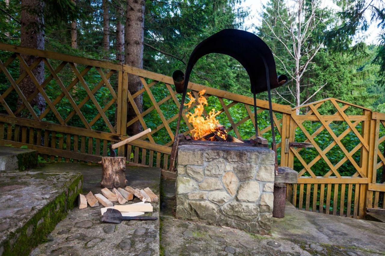 Альпина Hotel Jaremcse Kültér fotó