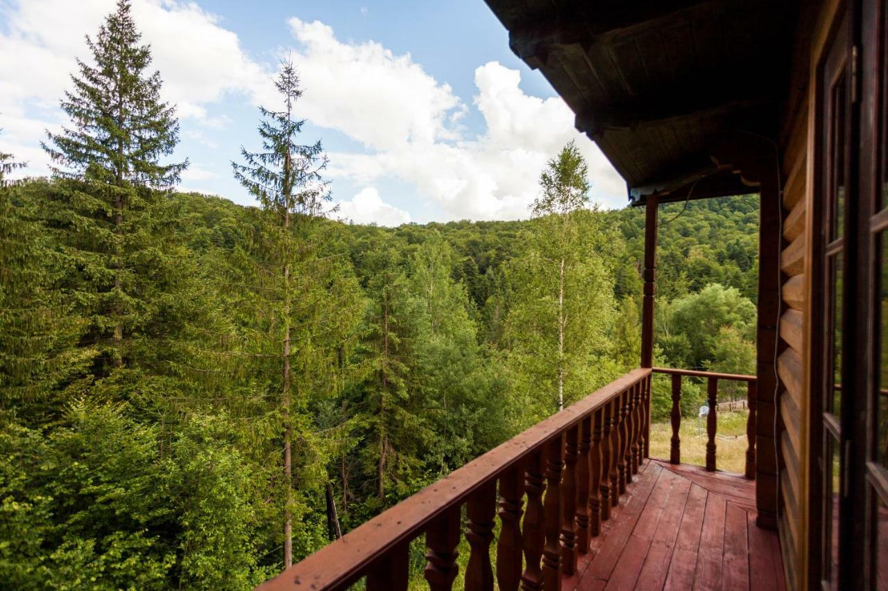 Альпина Hotel Jaremcse Kültér fotó