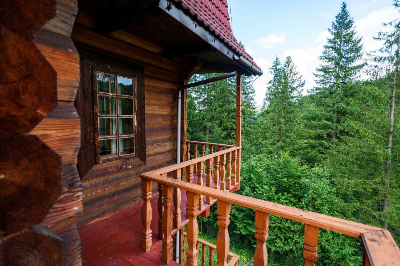 Альпина Hotel Jaremcse Kültér fotó