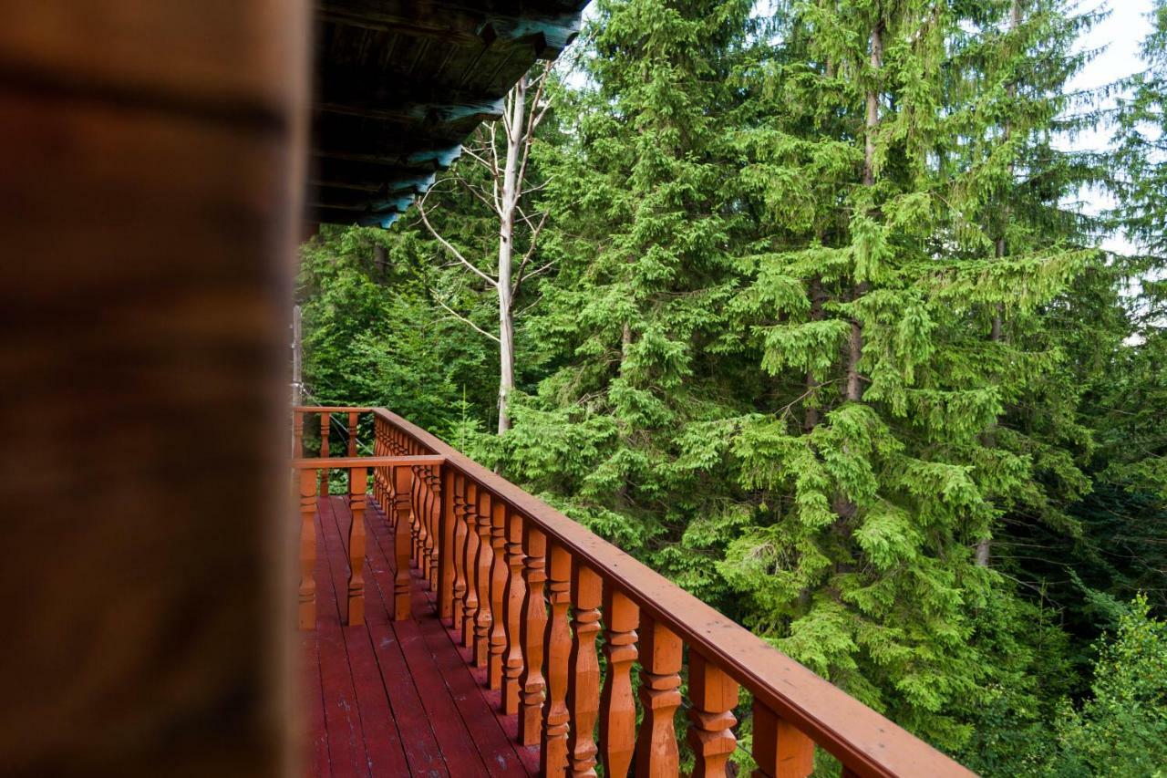 Альпина Hotel Jaremcse Kültér fotó