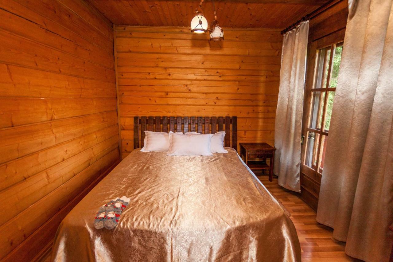 Альпина Hotel Jaremcse Kültér fotó
